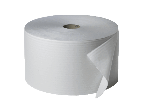 Fripa Putzrolle 2 lagig 2 x 2500 Abrisse 23 x 38 cm
